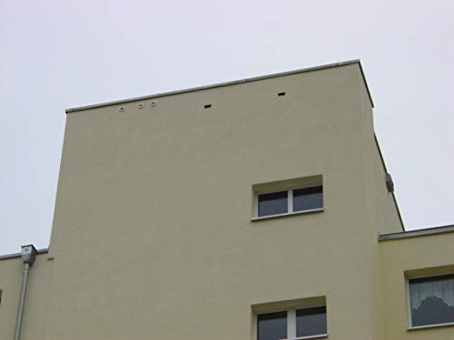 Schwegler Nistkasten/Mauerseglerkasten Nr.17A – Bild 3