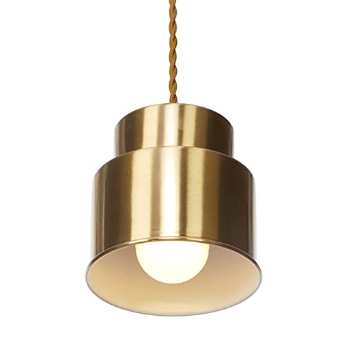 Luces Colgantes de Techo HNVBDOPAE Lámpara de Metal Oro con Cable Ajustable Modelo D/B 4