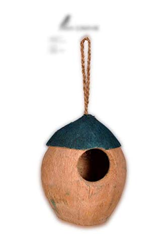 See full amazon price history chart for AVI CRAVE Green top Coconut Bird nest for Small Birds,Budgies,Finches,Sparrows,and Other Birds AVI CRAVE Green top Coconut Bird nest for Small Birds,Budgies,Finches,Sparrows,and Other Birds (B082RD7HB8) Amazon Price History, Amazon Price Tracker