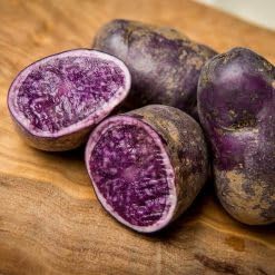 Generic 50pcs Sweet Potato Vegetable Seeds Dark Purple