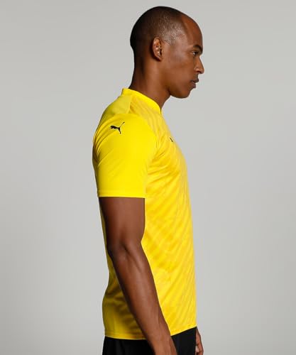 Puma Men's Polyester Regular Fit T-Shirt
