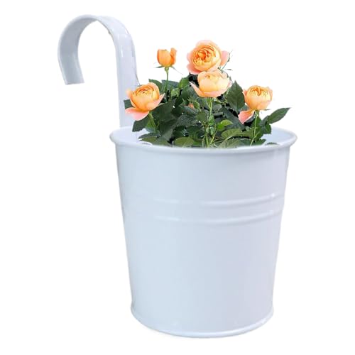 Huxibai Blumentöpfe Zum Aufhängen Hängend Mit Drainageloch - Eisen Übertopf Eimer Wand Pflanztopf Hängend Balkontopf Mit Haken | Für Balkon, Zaun, Garten, Wand, Robuster Hängetopf