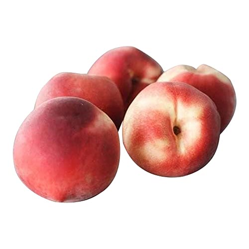 Little Farms Peach - White (Large) 200g (1 fruit)