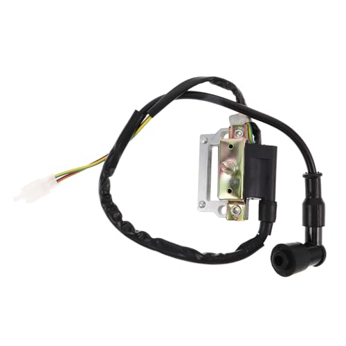 Bobina de encendido de CA Anneome para motocicleta de cross y quad con salida de bujía