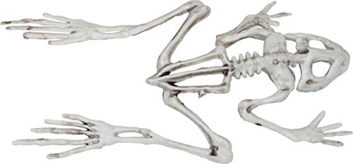 Morris Costumes Frog Skeleton