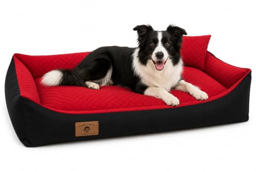 Odolplusz XXL Hundebett 100x70cm - Abnehmbarer, wasserdichter Bezug - Bequemer Hundekorb für große & mittelgroße Hunde - Waschbar & Robust