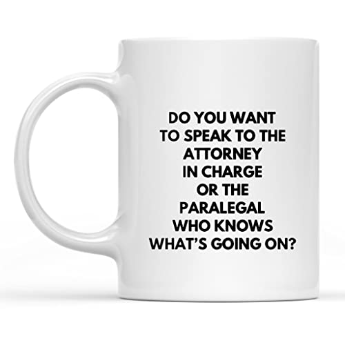 IKJHG Do You Want to Speak to The Attorney in Charge, divertente e divertente, regalo ispiratore e sarcasmo, per uomini, donne, capo, 325 ml