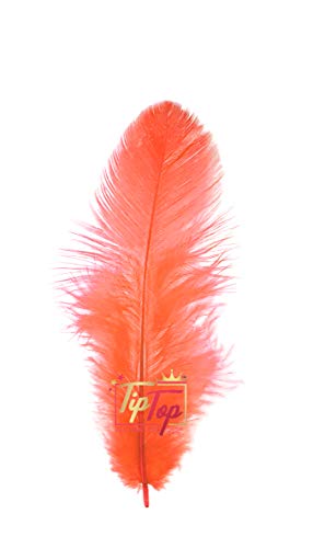 Image of Natural Dyed Feathers 10 cm (80 pieces) (Coral Peach)