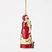 Enesco Jim Shore Heartwood Creek Santa with Cats and Dogs Hanging Ornament, 4.65 Inch, Multicolor