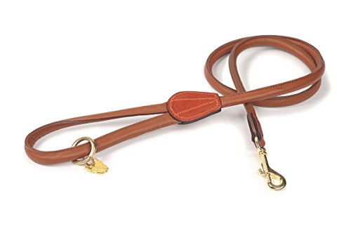 Digby & Fox Rolled Leather Dog Lead (Tan)