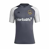 adidas Men's LA Galaxy Herbalife Jersey L Gray