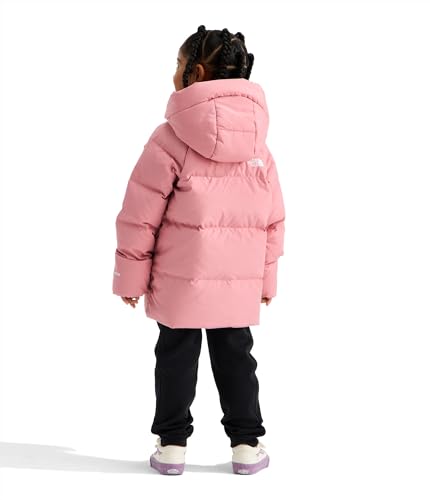 Image of THE NORTH FACE unisex-baby North Down Fleece-lined Parka