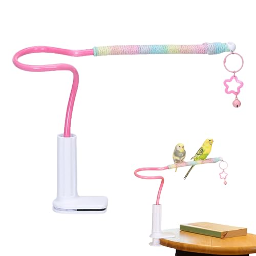 Riaisttd IE~܂؃X^h -  p ~܂ X^h - ǃJt~߃IEgC AybgACRAIJCRAJiAAuo[hAR?A