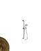 Newport Brass 280L Ithaca Multi-Function Hand Shower Package with Slide Bar, Hos, English Bronze