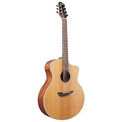 Ibanez PA230E-NSL – Guitare Acoustique - Les Beatles, Paul McCartney, John Lennon, RIngo Starr, George Harrison Ibanez PA230E-NSL - Guitare Acoustique – Image 4