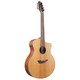 Ibanez PA230E-NSL – Guitare Acoustique - Les Beatles, Paul McCartney, John Lennon, RIngo Starr, George Harrison Ibanez PA230E-NSL - Guitare Acoustique – Image 4