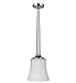 Craftmade 41791-PLN One Light Mini Pendant
