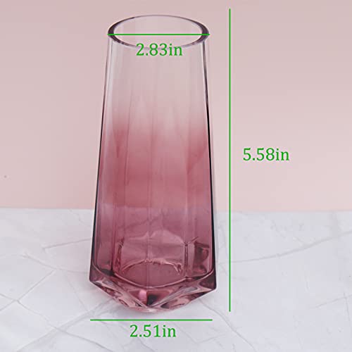 Glazen Bloem Vaas, Ins Stijl Crystal Clear Vaas Diamant Bodem Vaas Handgemaakte Bloem Plant Container Terraria Glazen Vaas voor Bloemen Hydrocultuur Plant, Bruiloft Housewarming Party Home Office Decor - Afbeelding 6