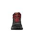 Columbia Mens Newton Ridge Plus II Waterproof Hiking Boot, Black/Shark, 12