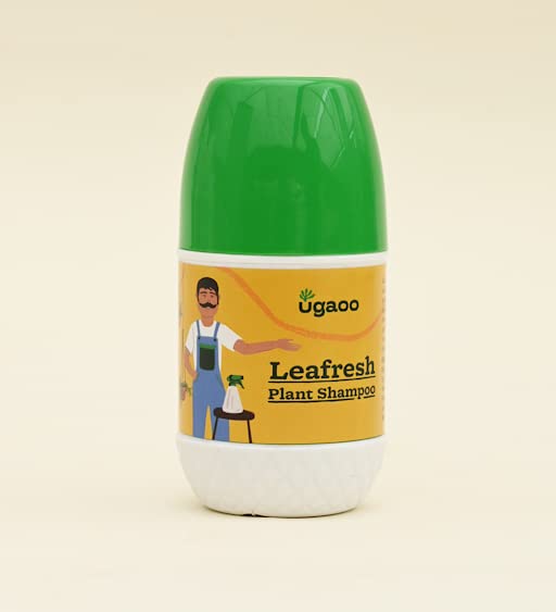 See full amazon price history chart for Ugaoo Leafresh Plant Shampoo for Indoor, Outdoor Plants - 100ml Ugaoo Leafresh Plant Shampoo for Indoor, Outdoor Plants - 100ml (B0BN1QG2X4) Amazon Price History, Amazon Price Tracker