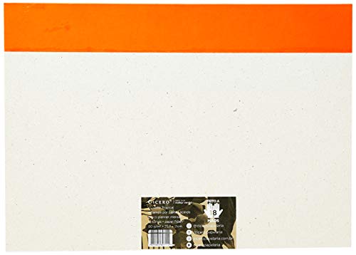 Bloco Planner Floresta Tropical, Cicero, 7112, Multicor, Grande (29, 7x21)