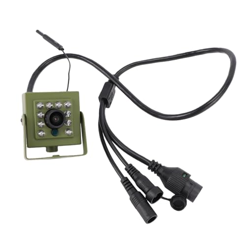 Caméra de Surveillance de la Faune, Caméra de sécurité Intérieure et Extérieure, Caméra de Vision Nocturne pour Nichoir, Caméra Grand Angle WiFi 2,4 GHz avec 10 LED, pour
