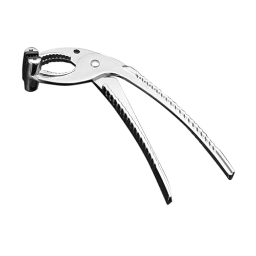 Abaodam ϔMnhtI[uNbv @\炩 ~ Obv Ήx[LOgCp