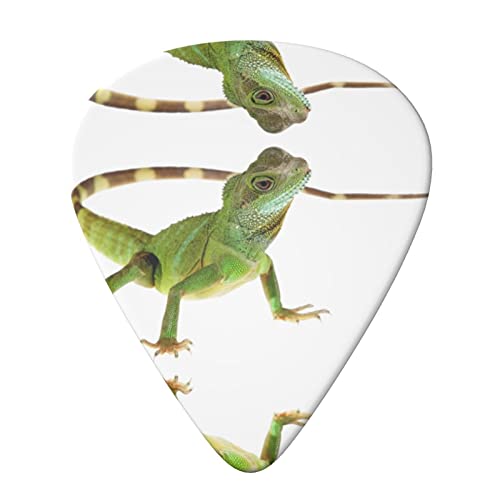 Lot de 6 médiators Lizard HD pour guitare acoustique, guitare électrique, basse, ukulélé – fins, moyens et épais - Les Beatles, Paul McCartney, John Lennon, RIngo Starr, George Harrison Lot de 6 médiators Lizard HD pour guitare acoustique, guitare électrique, basse, ukulélé - fins, moyens et épais – Image 4