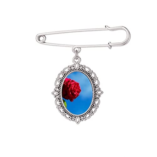 Broche bleu ciel rouge et roses vertes taille M pour fixer un châle ou une robe