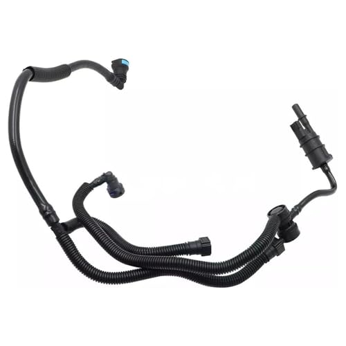 Acabe con el olor a gasolina usando el bidón de carbono BB539G271DD y tubos de purga 2.0 4