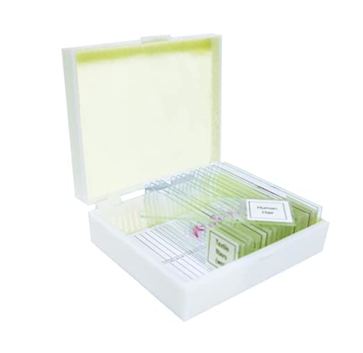 Vision Scientific VSH110 Prepared Slide Set – Mammalian Physiology (Set of 15)