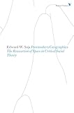 Postmodern Geographies: The Reassertion of Space in Critical Social Theory (Radical Thinkers) (English Edition)