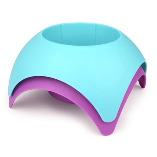 Set of 2 Turtleback Sand Coaster Cup Holder Purple and Teal