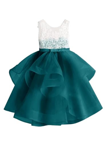Flower Girl Dress for Wedding Lace Flower Tulle Princess Birthday Party Dresses Kids Long Prom Gown with Satin Sash