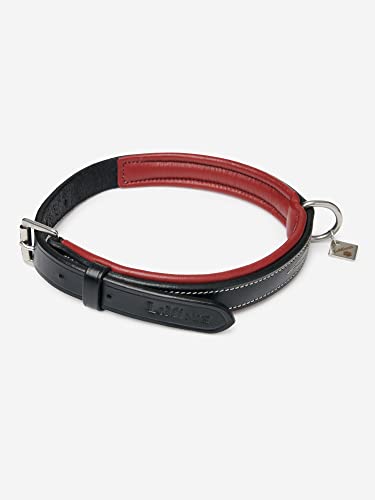 LeMieux Windsor Soft Padded Leather Dog Collar in Black/Burgundy