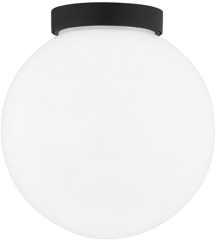 Troy Lighting Ansel - 1 Light Exterior Wall Sconce/Flush Mount - Medium - Textured Black Frame - Opal Shiny Shade