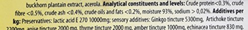 cdVet Naturprodukte EquiGreen HorseVital 2,5 Liter - Pferde - Leistungsfähigkeit - intakte Haut + glänzendes Fell - Verdauung - Stoffwechsel - Versorgung mit Mikronährstoffen - Entgiftungsorgane -, 42