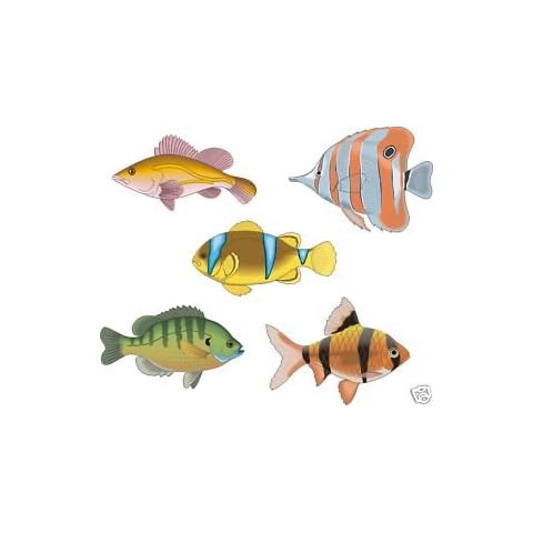 Smarts-Art Tropical Fish Tile Stickers Set Cover