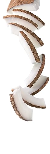 Image of 1883 Sugar-Free Coconut Syrup for Drinks, Made in France, 1 Liter Plastic Bottle