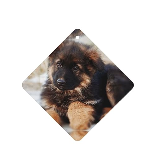 W[}VFp[hps[ ԗpF p[\iCYꂽXCX J[A}Zs[^ubg ݂艺F܃J[h [vt 4 ԂƂ̑p