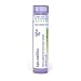 APIS MELLIFICA 10M MD