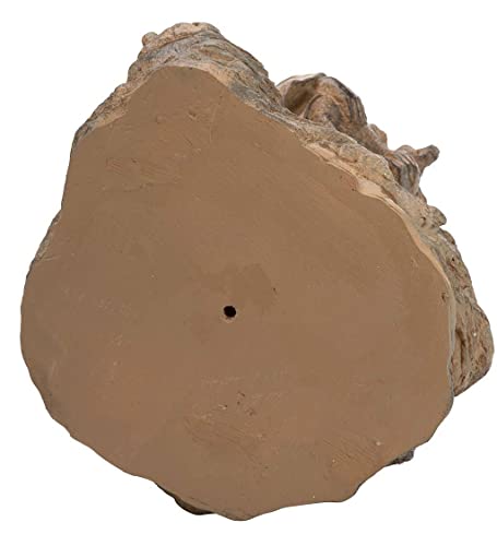 Wind & Weather St Francis Of Assisi Statue | Religious Patron Saint Of Animals | 22-Inch Tall Indoor Or Outdoor Garden Sculpture | Weatherproof | Hard Carved Finish #TOP5