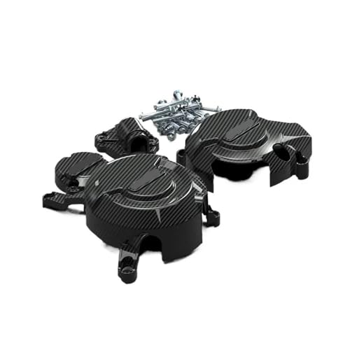 Protectora Funda Engine y protector secundario de motor 300NK 6