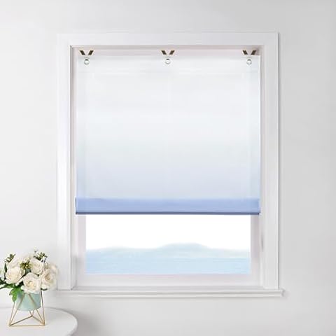 ESLIR No-Drill Transparent Colour Gradient Roman Blind Cover