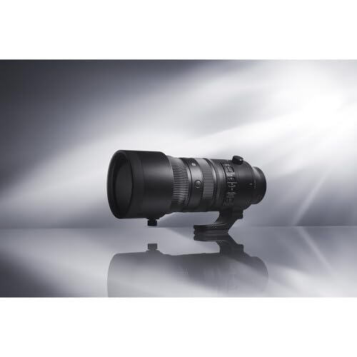 Sigma 24-70mm f/2.8 lens