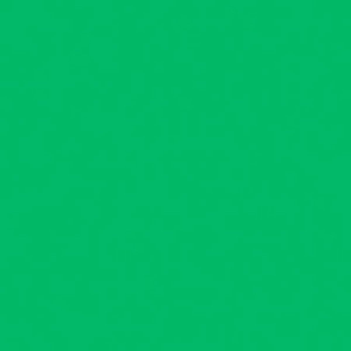 Roscolux Chroma Green, 20x24 Color Effects Lighting Filter