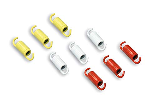 MALOSSI 2915089 Serie RACING Federn für Kupplung KAWASAKI J 300