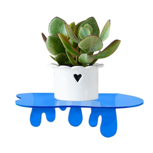 Estante flotante montado en la pared, organizador de acrílico para baño, organizador de instalación rápida, estantería decorativa para perfumes, adornos, libros, plantas, marco de fotos