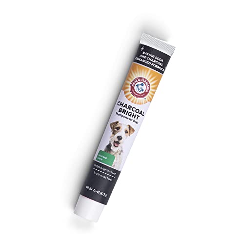 Arm & Hammer Charcoal Bright Toothpaste For Dogs, Charcoal | Pet-Safe, Natural Dog Toothpaste & Breath Freshener With Charcoal & Enzymes | 2.5Oz Canine Teeth Cleaning Paste Arm & Hammer #TOP4