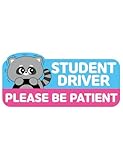 Student Driver Car Magnet Cute Raccoon - Weather - Resistant Colorful - Rectangular Various Cute Characters/Must-Have for Student Drivers!
